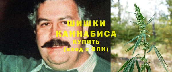 ПСИЛОЦИБИНОВЫЕ ГРИБЫ Костерёво