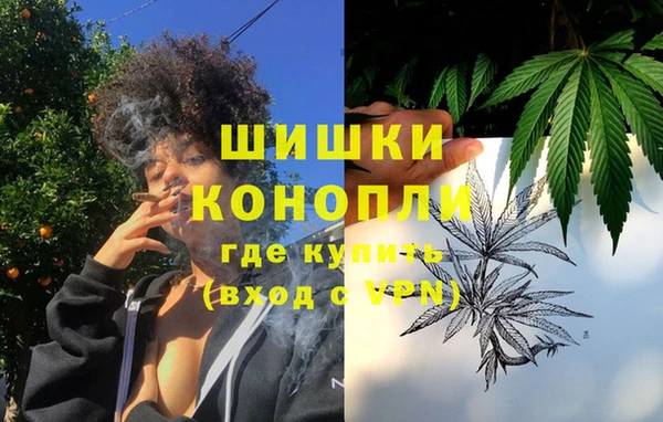 ПСИЛОЦИБИНОВЫЕ ГРИБЫ Костерёво