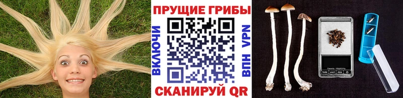 Псилоцибиновые грибы ЛСД  Новая Ляля 